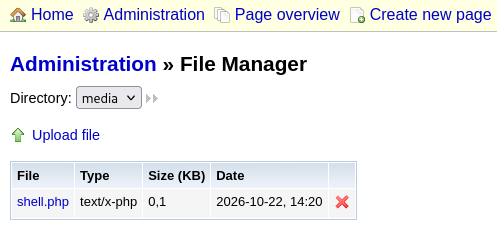 Shell has been successfully uploaded